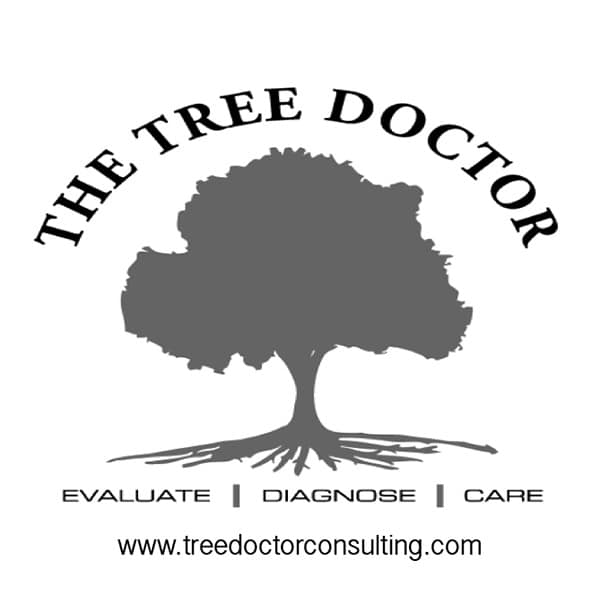 Tree Doctor logo